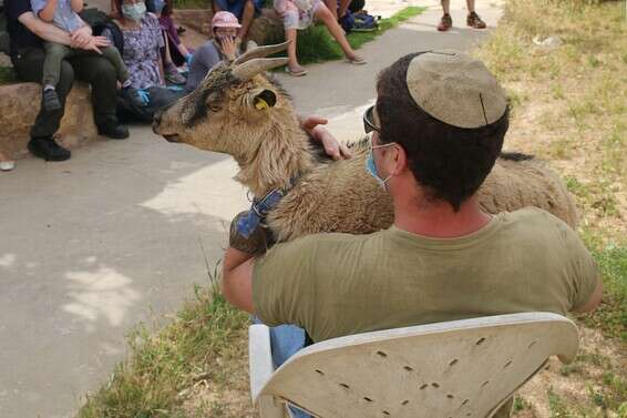 מסייעים באמצעות בעלי חיים // צילום: חגי שמואלי